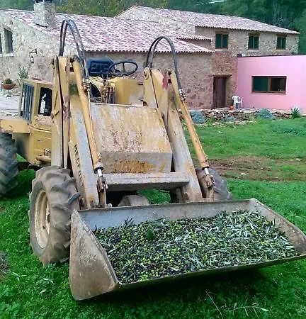 Farm stay Sete *