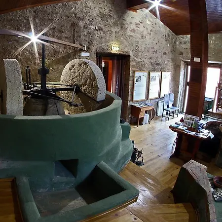 Sete * Miranda do Corvo