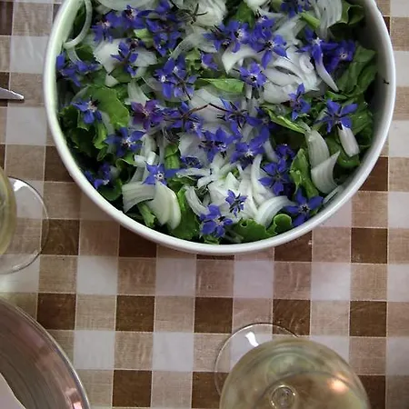 Sete * Miranda do Corvo