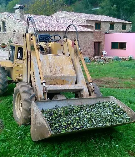 Alojamento de Turismo Rural Sete *