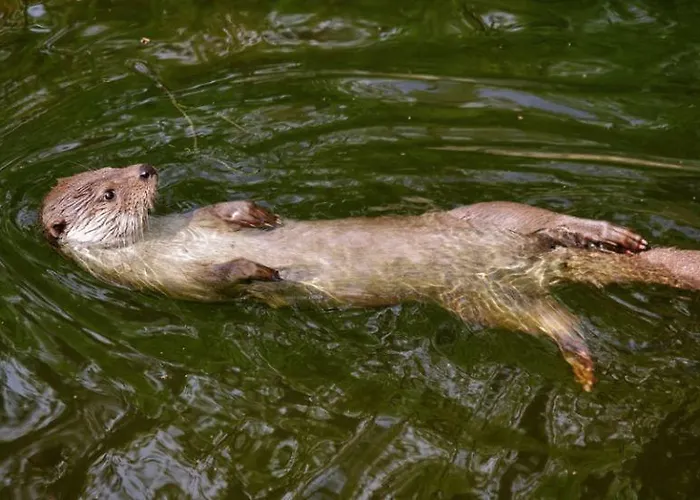 Alojamento de Turismo Rural Sete *