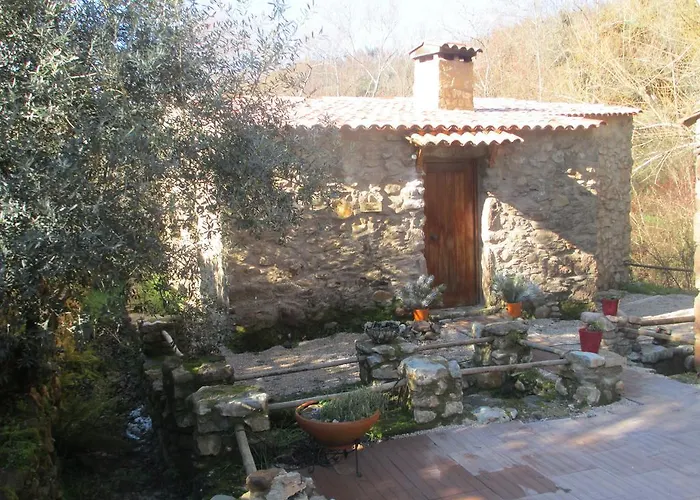 Sete Miranda do Corvo