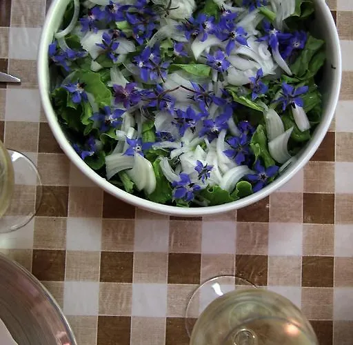 Sete * Miranda do Corvo