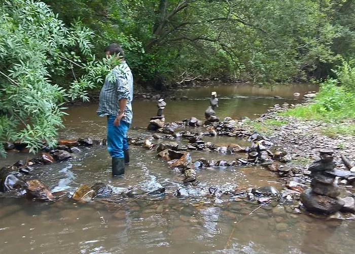 Sete Miranda do Corvo